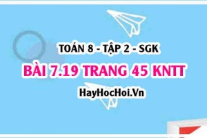 Bài 7.19 trang 45 Toán 8 Tập 2 Kết nối tri thức: Giá trị của hàm số